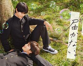 seo导航怎么变白色了